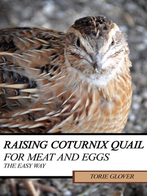cover image of Raising Coturnix Quail for Meat and Eggs